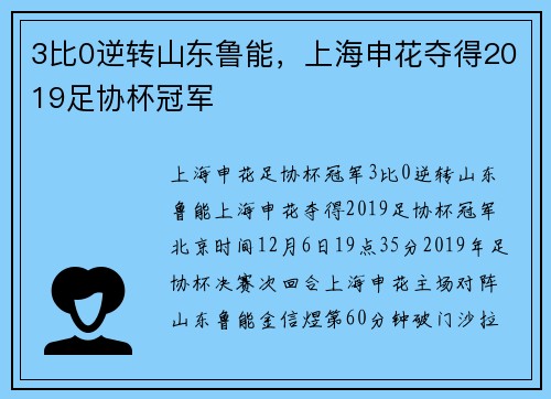 3比0逆转山东鲁能，上海申花夺得2019足协杯冠军